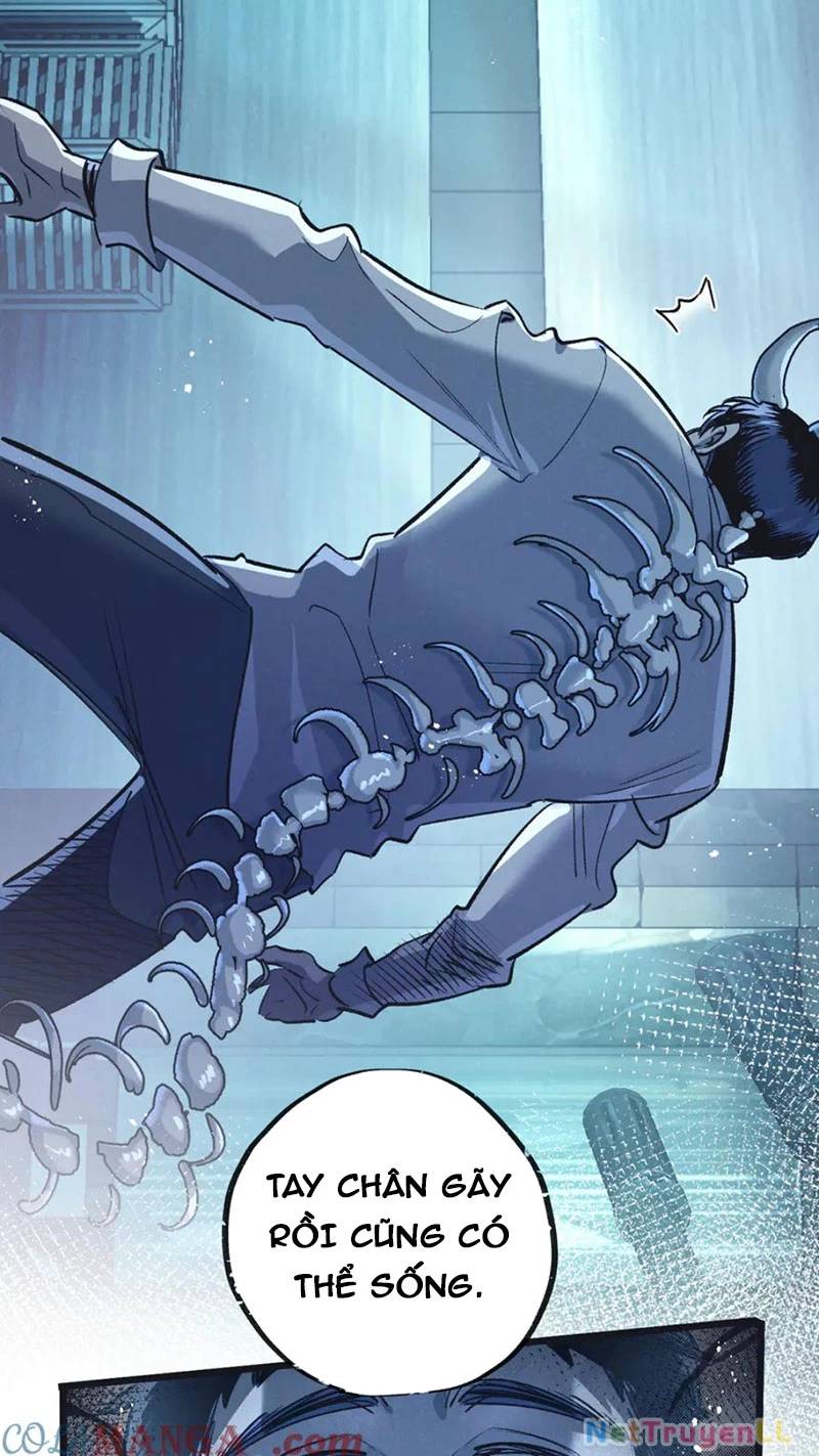 page_24.jpg