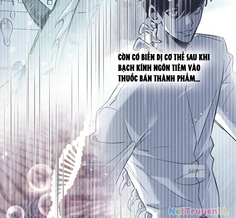 page_26.jpg