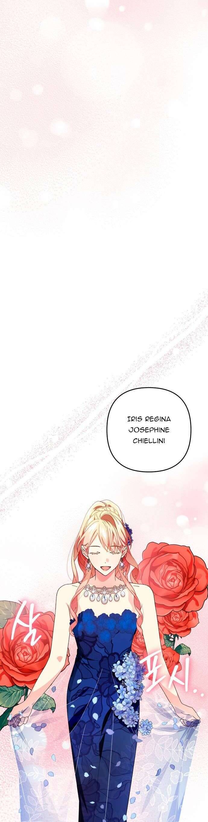 page_29.jpg