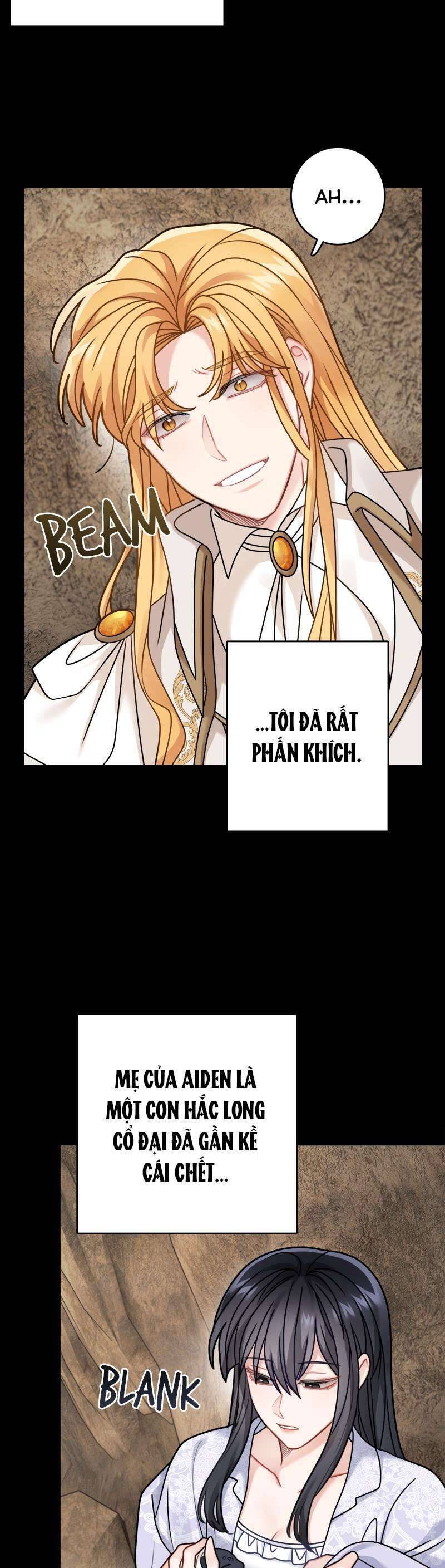 page_27.jpg