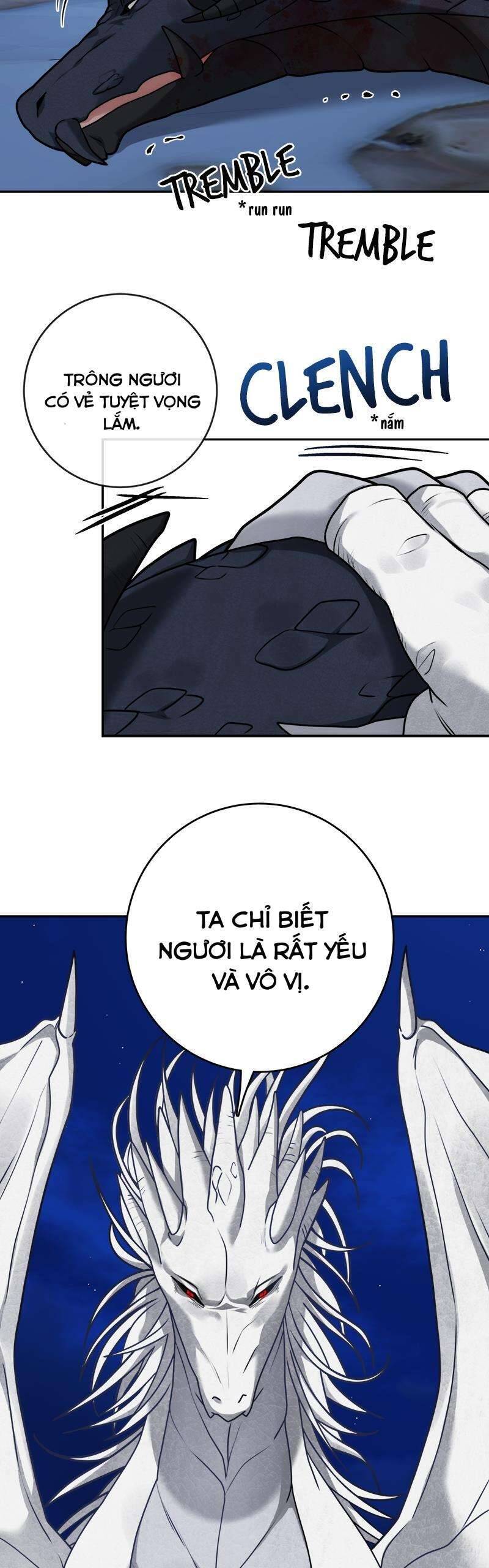 page_19.jpg