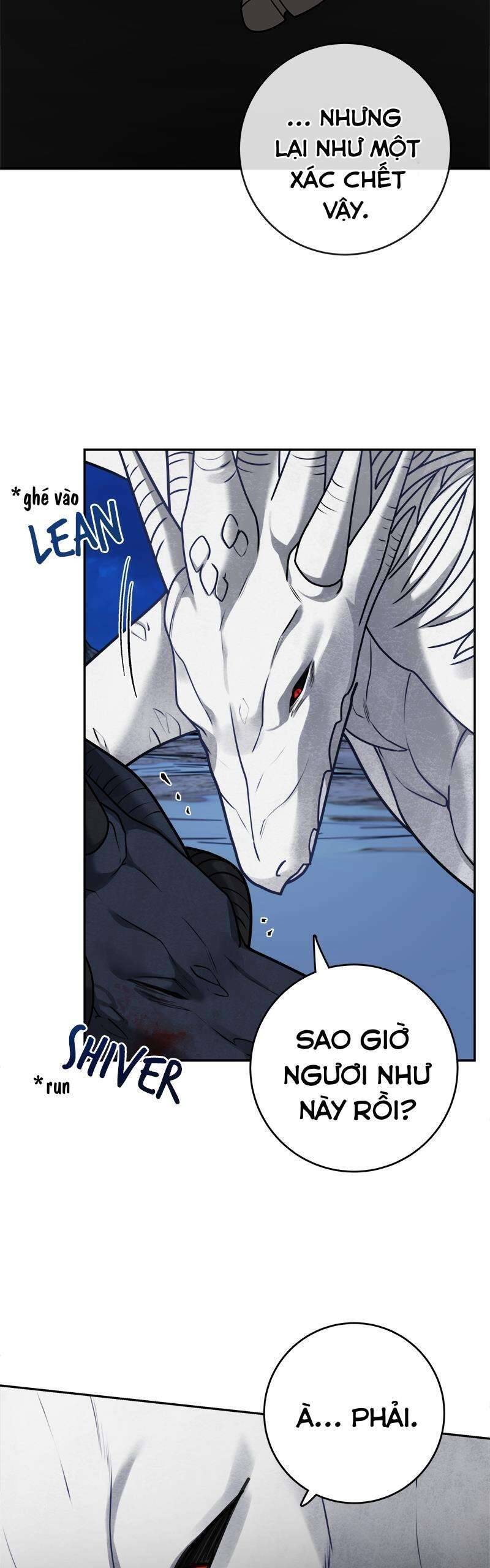page_21.jpg