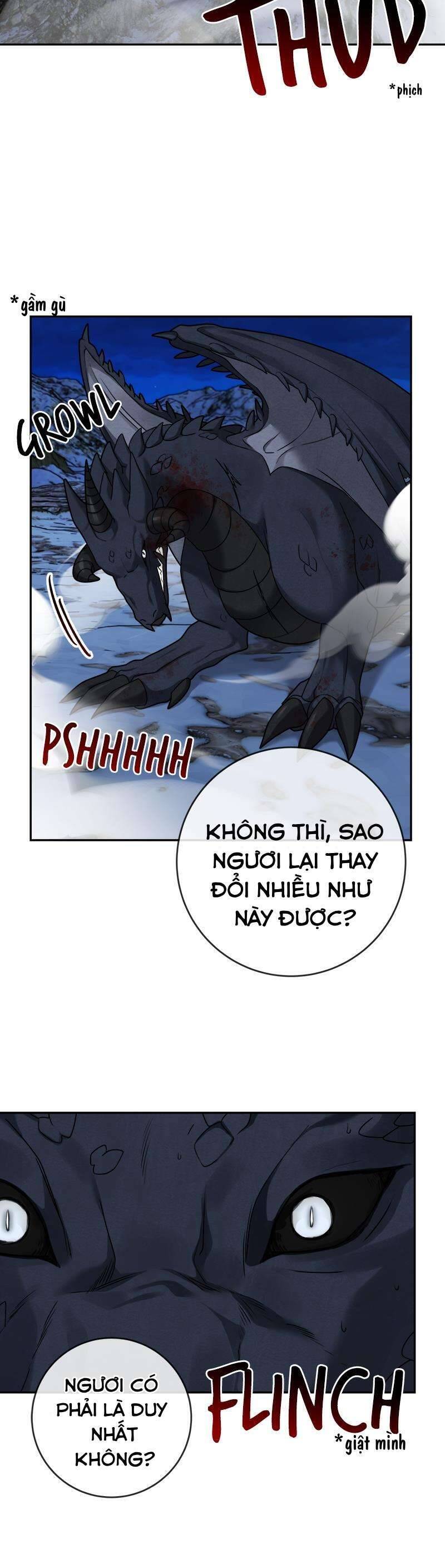 page_24.jpg