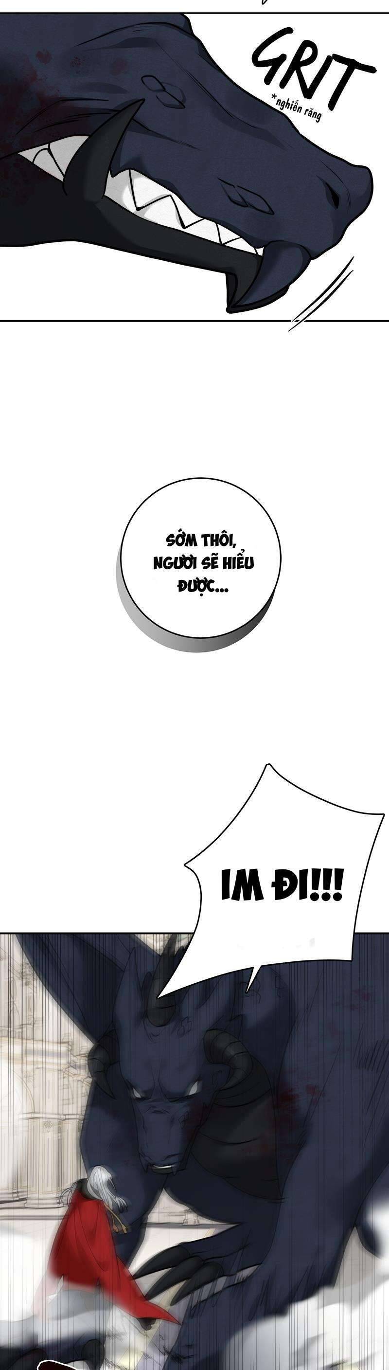 page_31.jpg