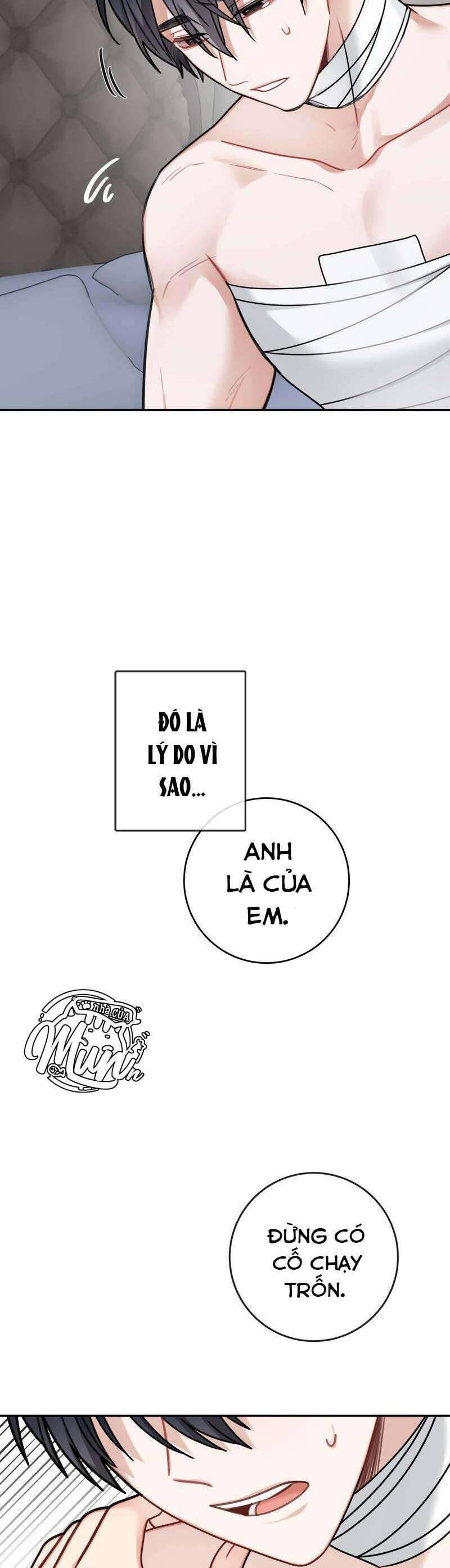 page_26.jpg