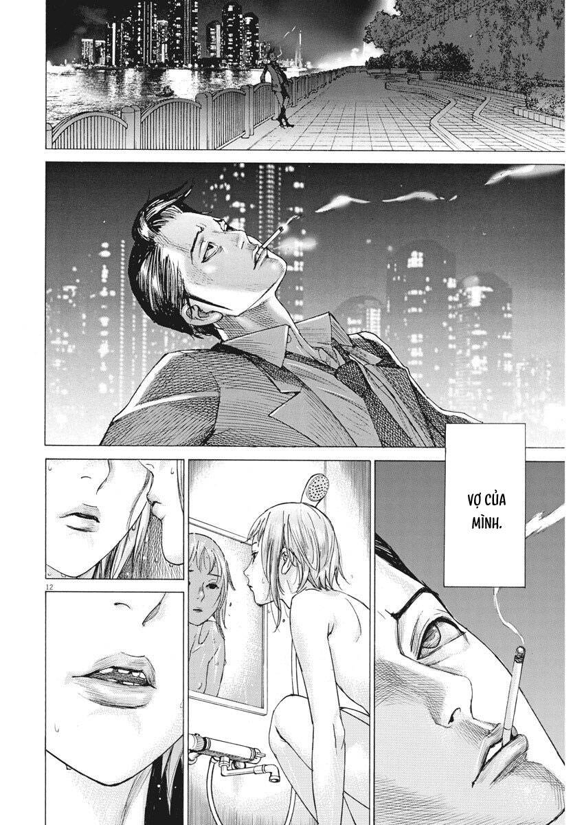 page_13.jpg