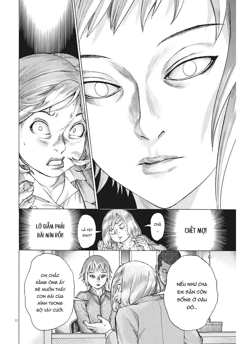 page_13.jpg