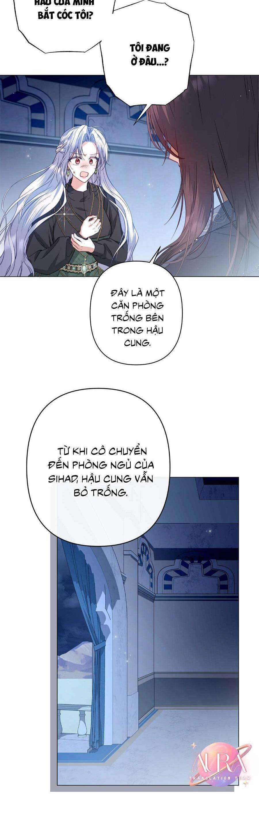 page_21.jpg