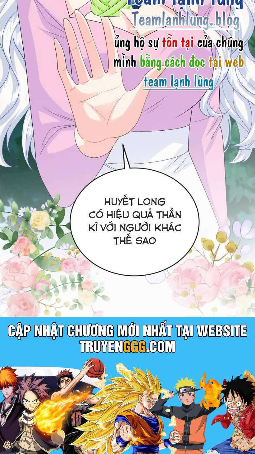 page_28.jpg