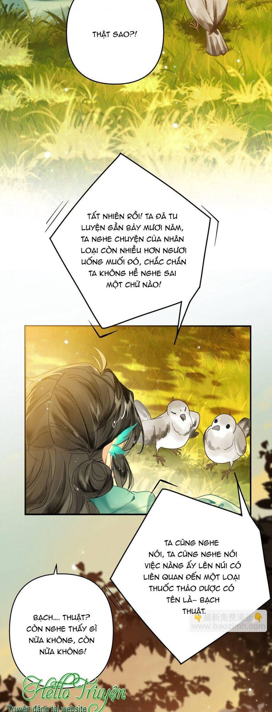 page_16.jpg