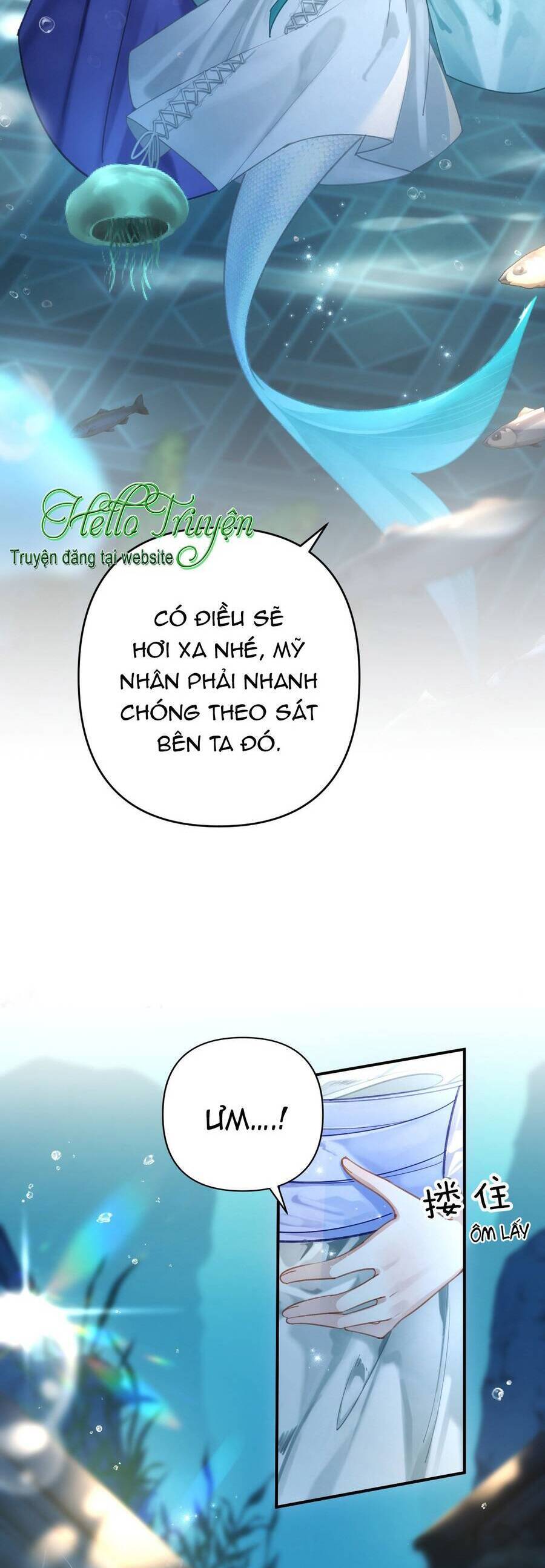 page_29.jpg