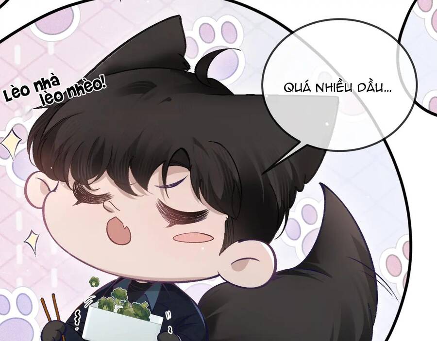 page_15.jpg