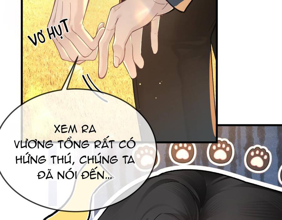 page_40.jpg