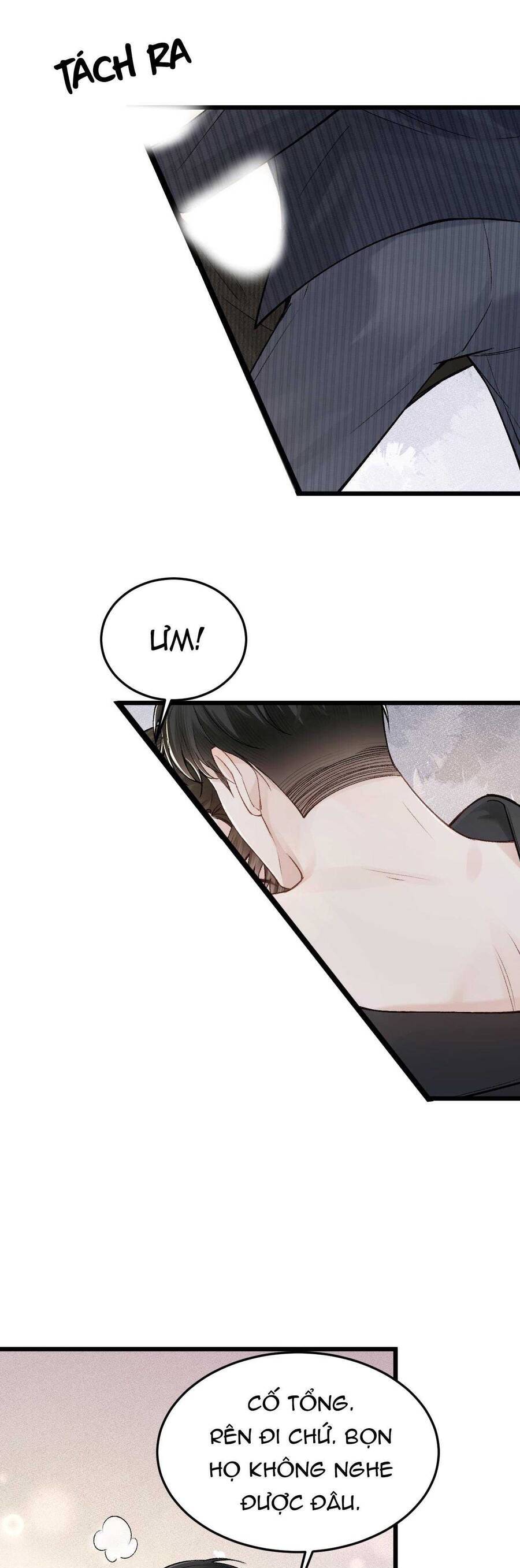 page_20.jpg