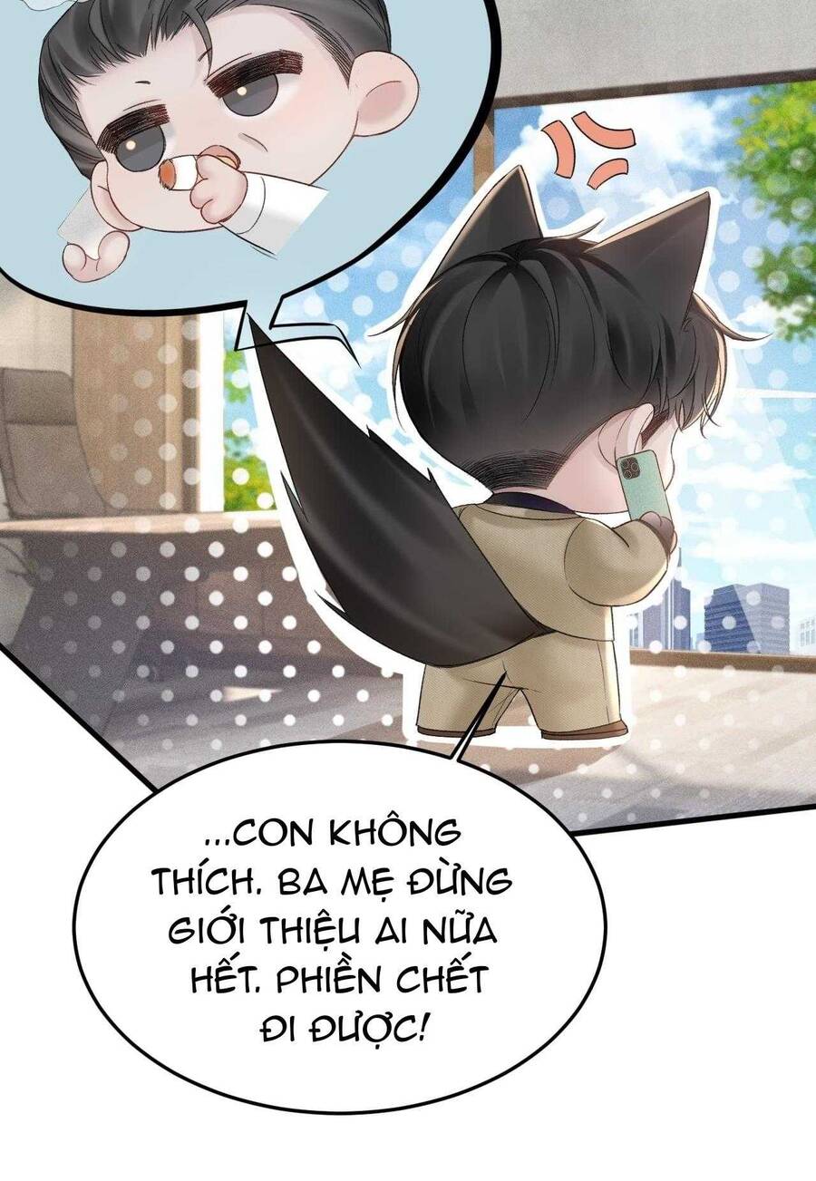 page_23.jpg