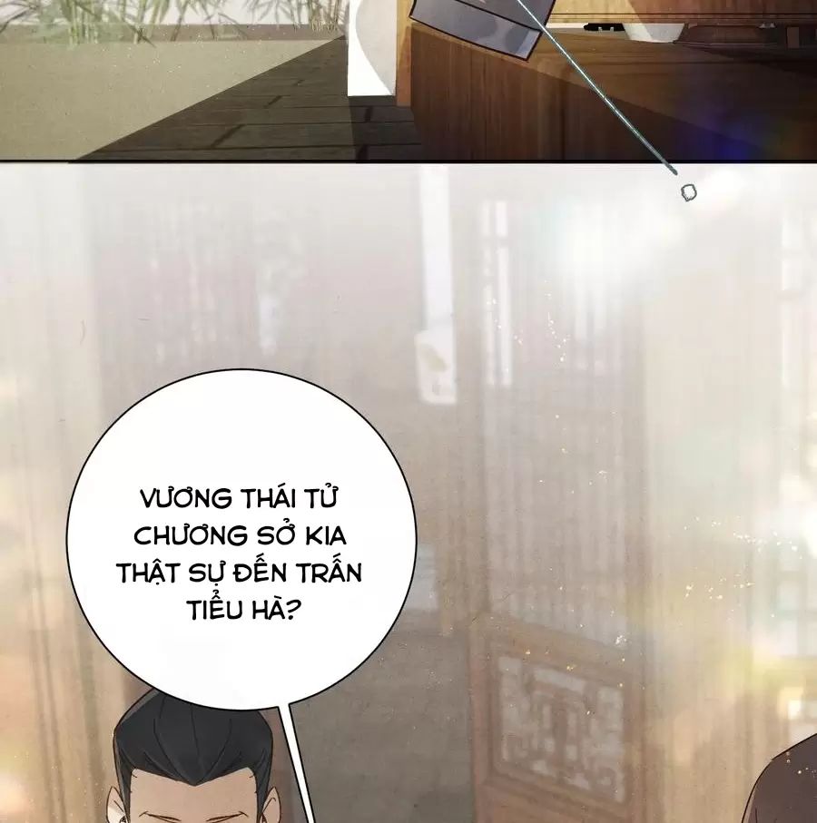page_29.jpg