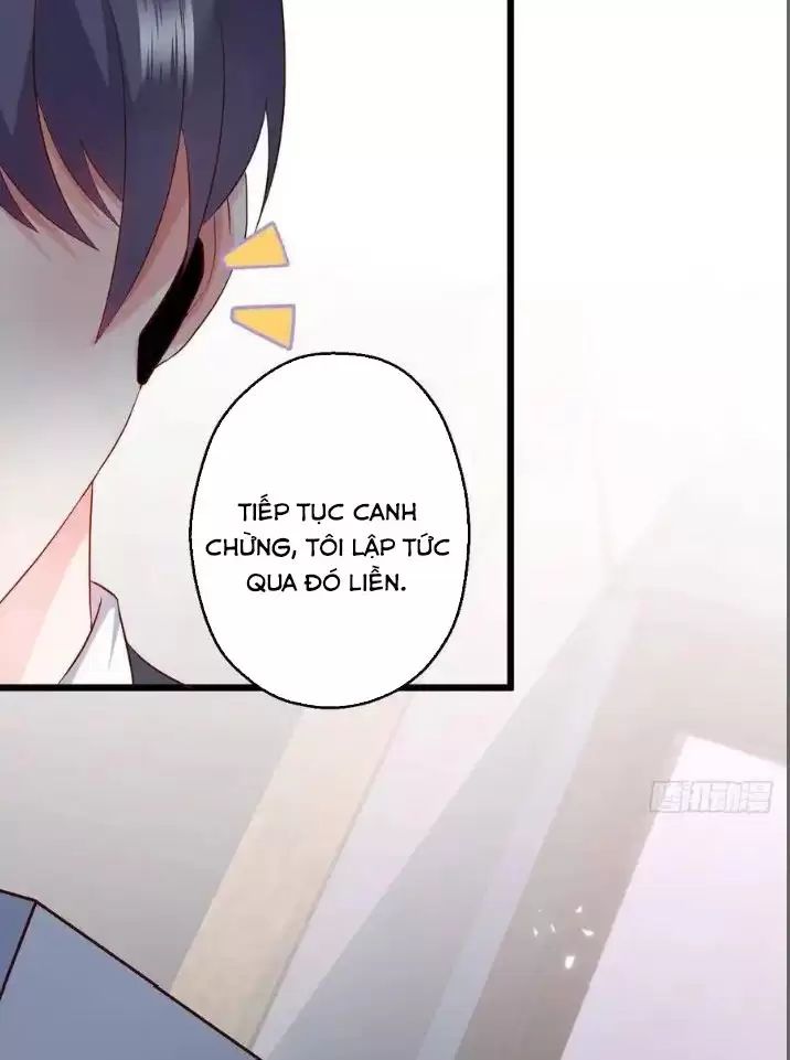 page_17.jpg