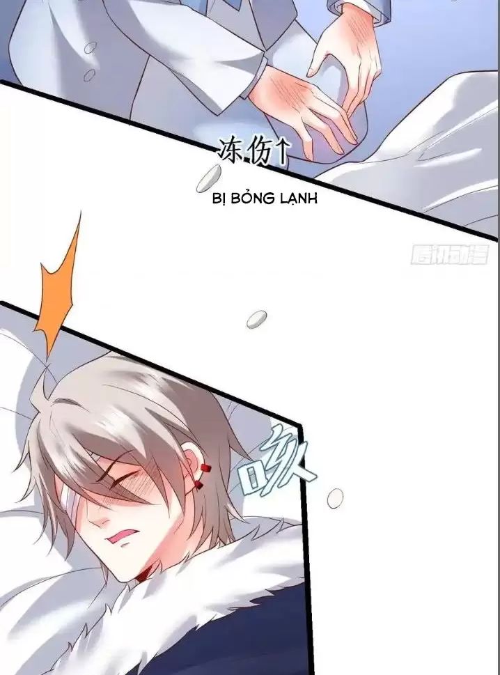 page_29.jpg