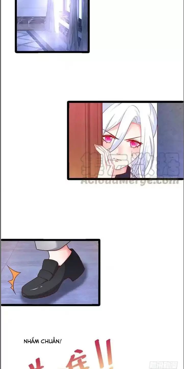 page_23.jpg