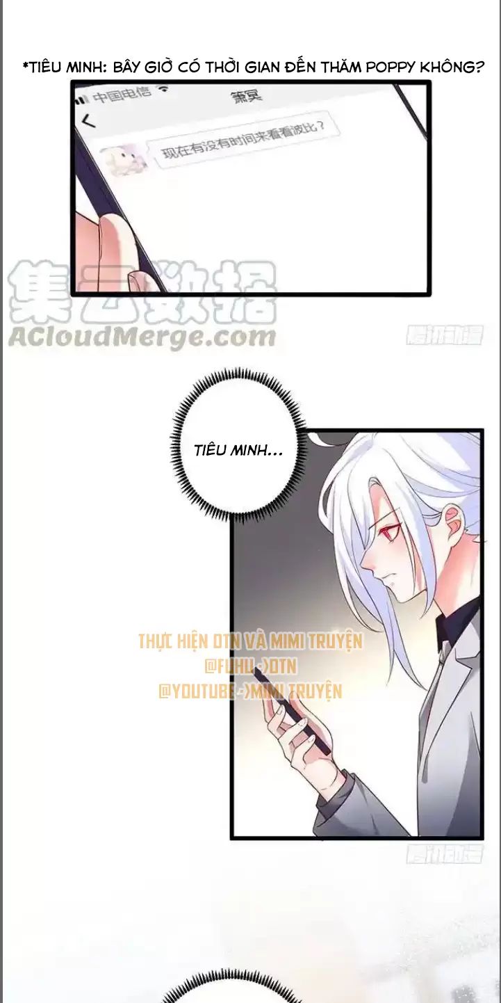page_30.jpg