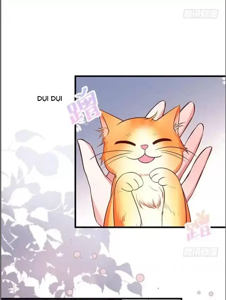 page_20.jpg