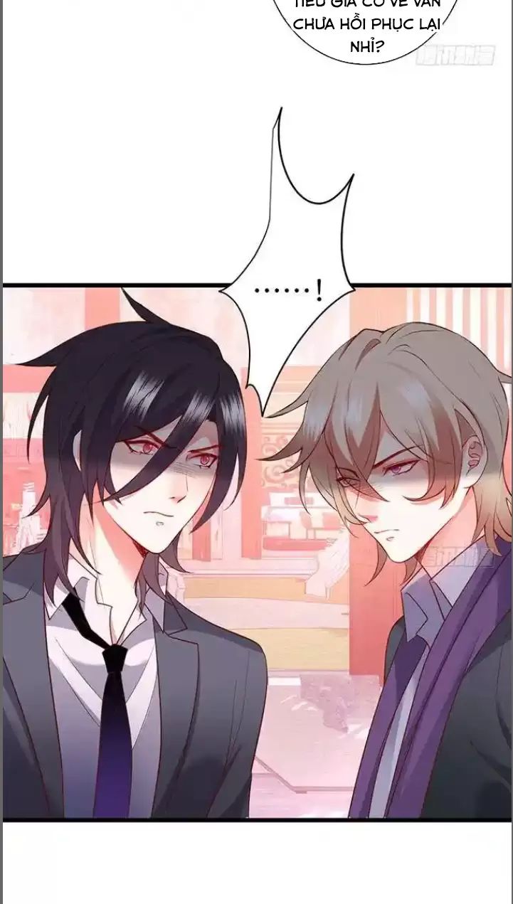 page_29.jpg