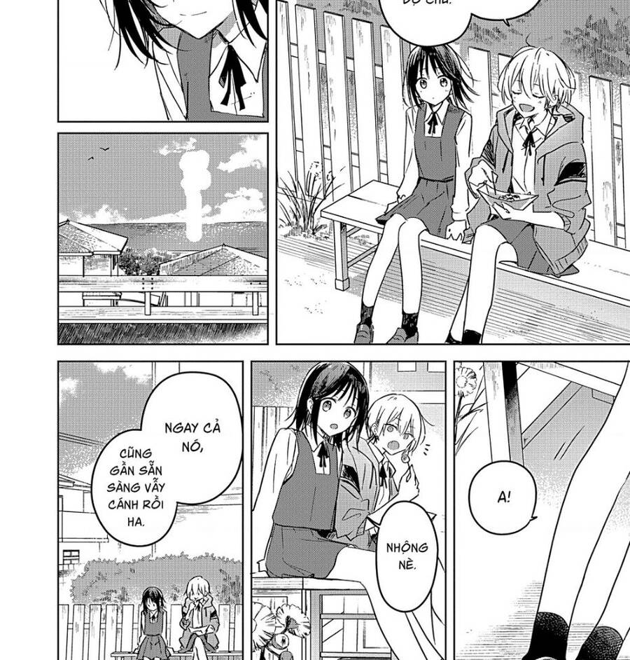 page_29.jpg