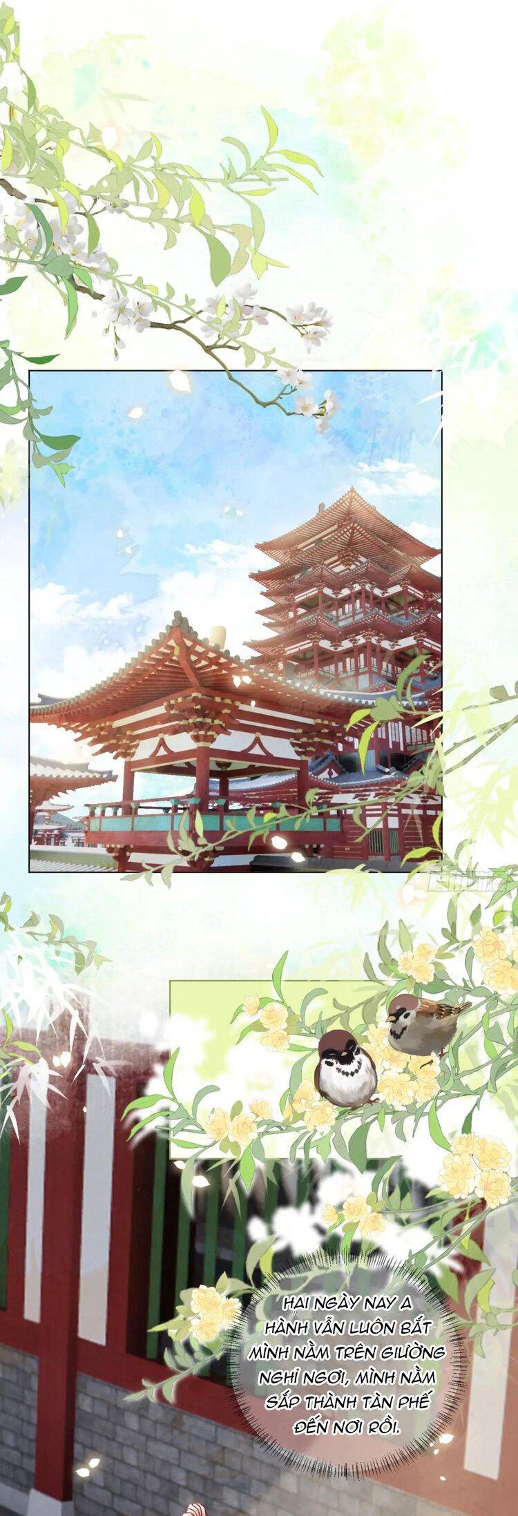 page_12.jpg