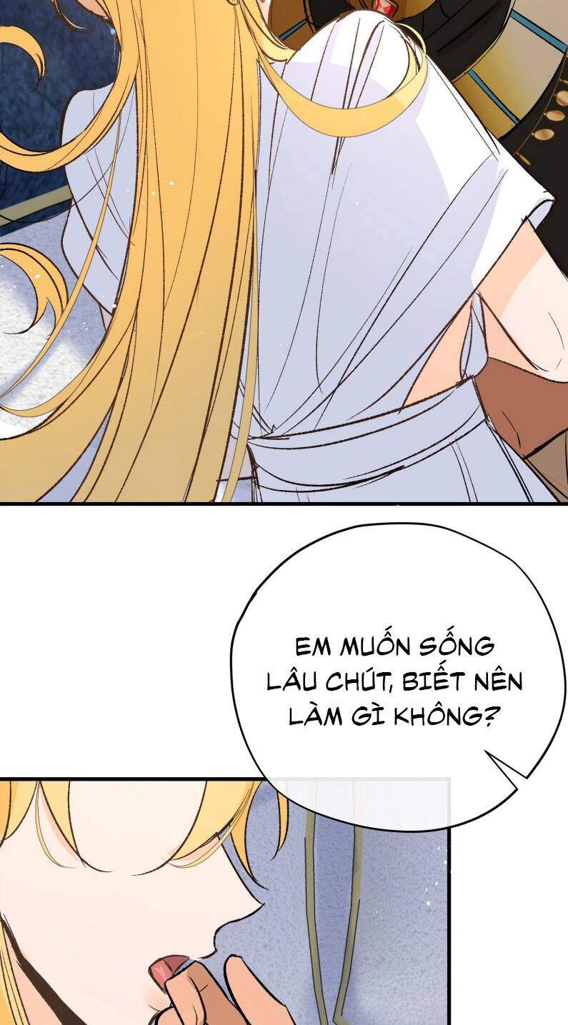 page_25.jpg