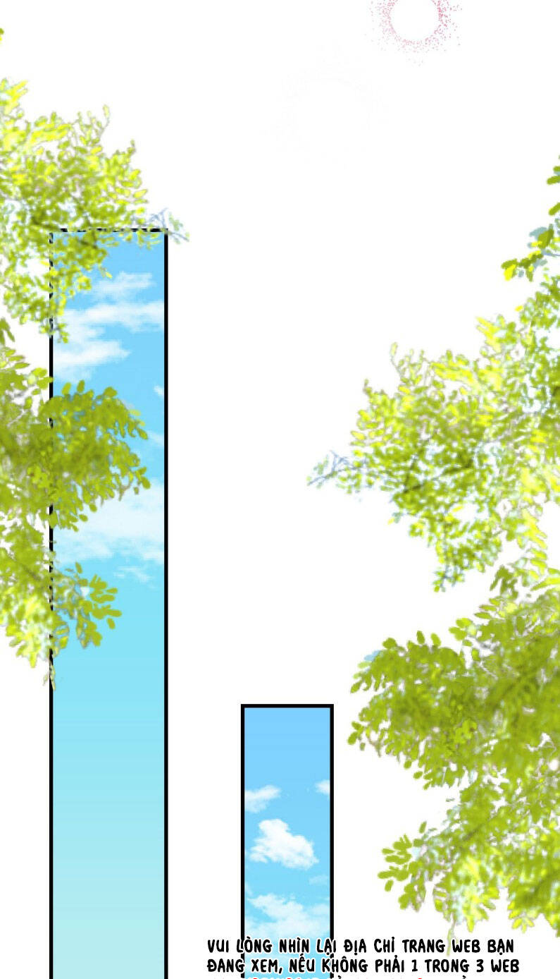 page_40.jpg