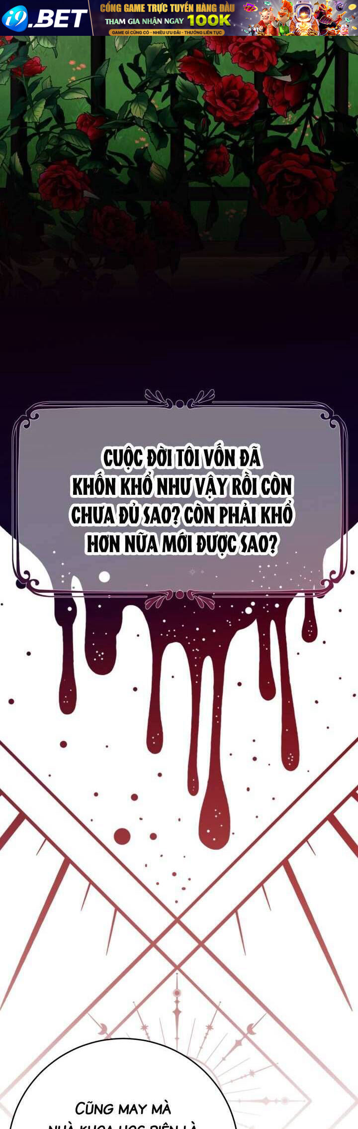 page_31.jpg