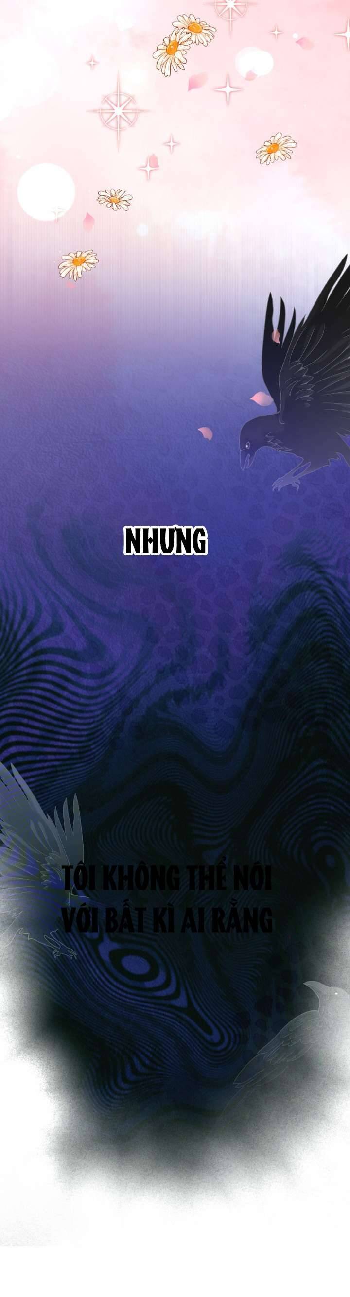 page_29.jpg