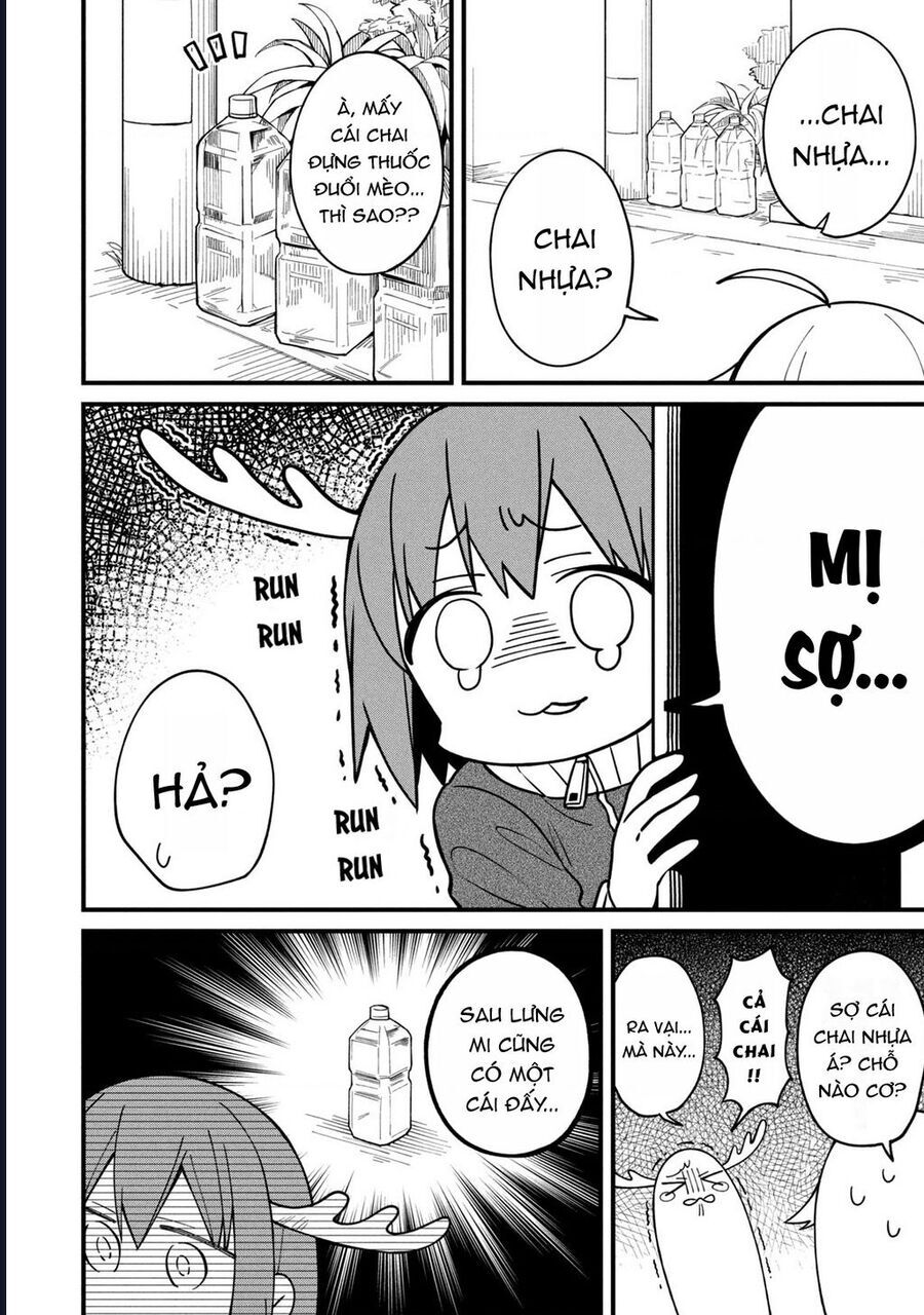 page_8.jpg