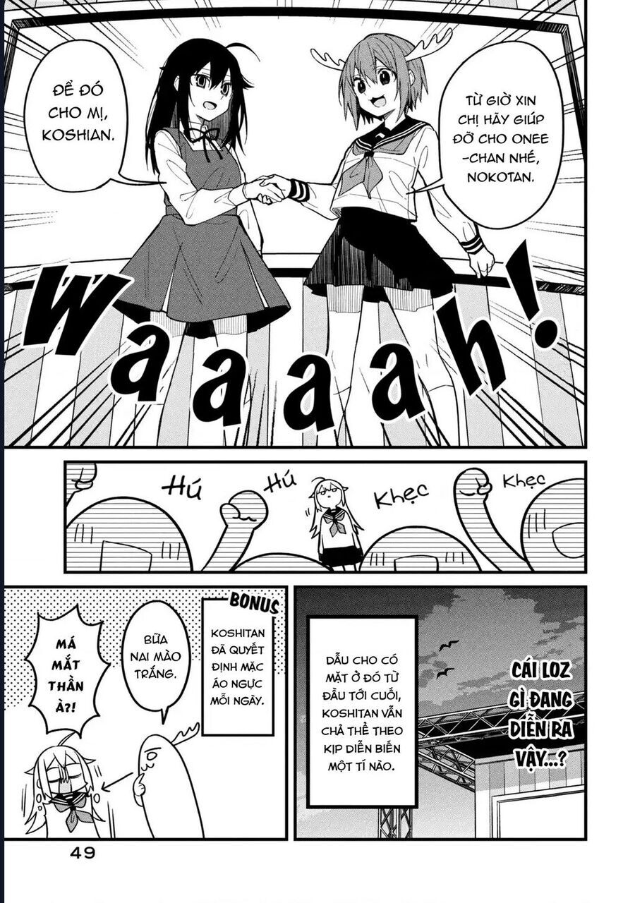 page_22.jpg