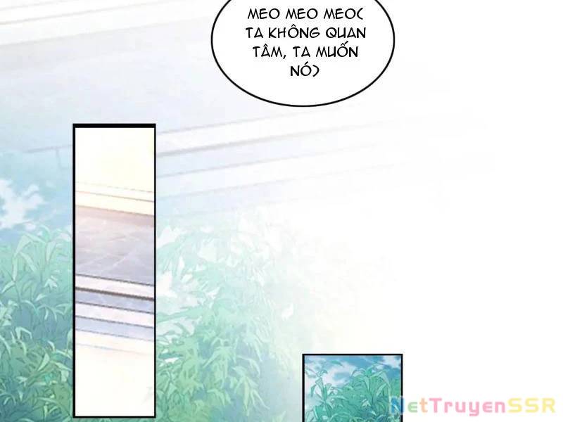 page_43.jpg