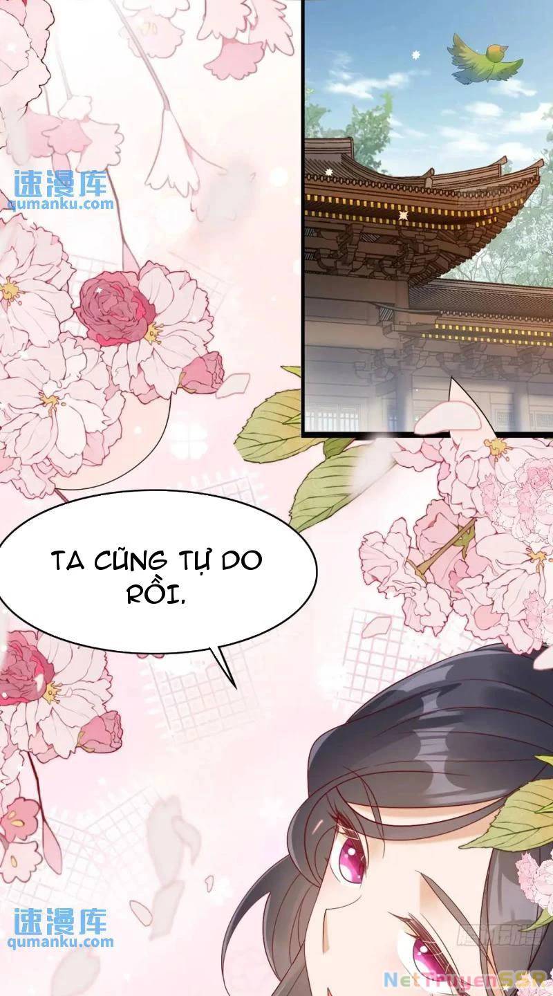 page_31.jpg