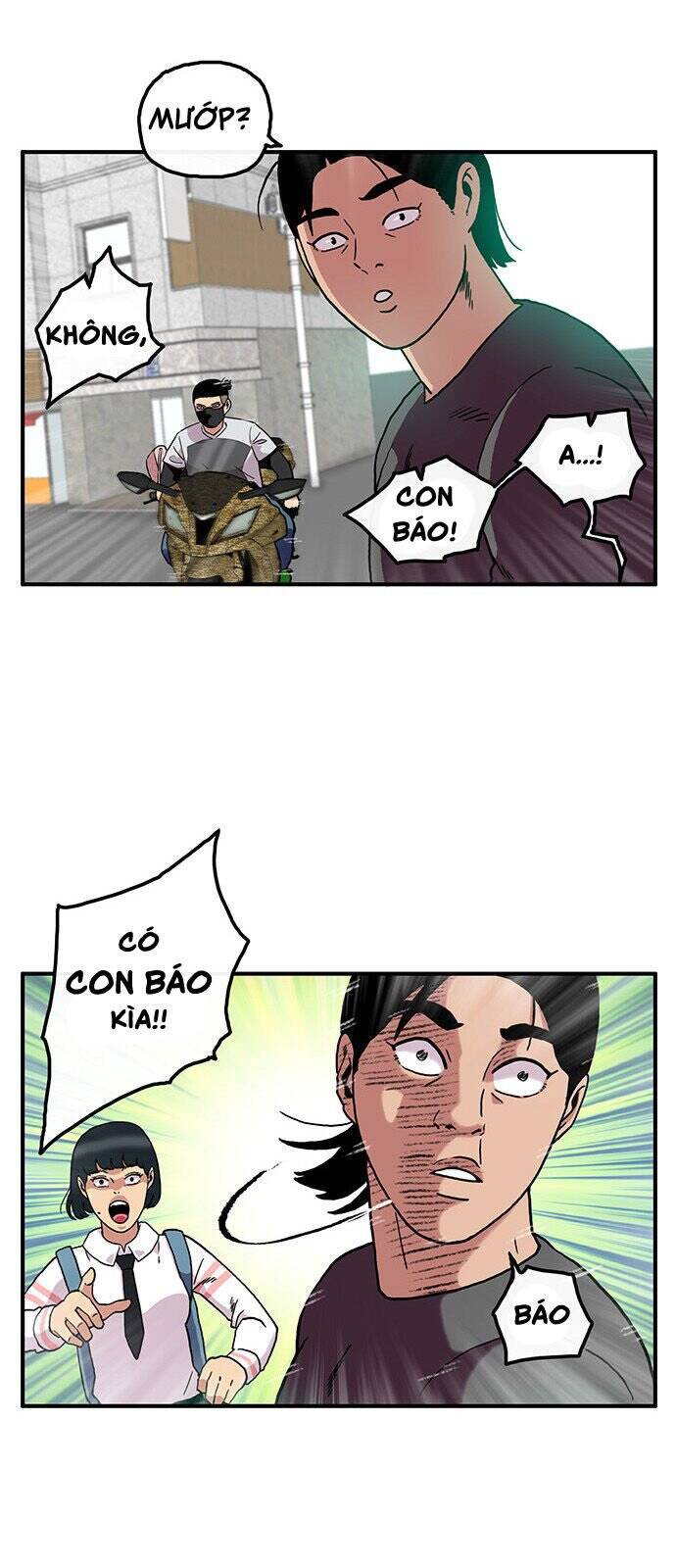 page_28.jpg