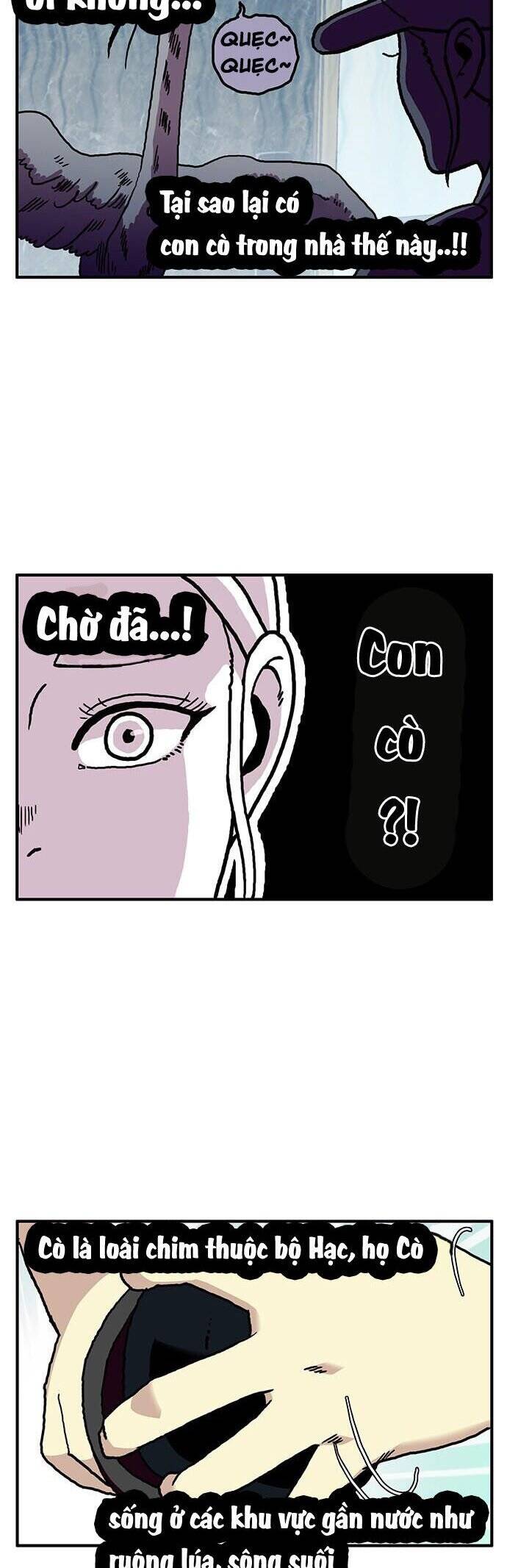 page_31.jpg