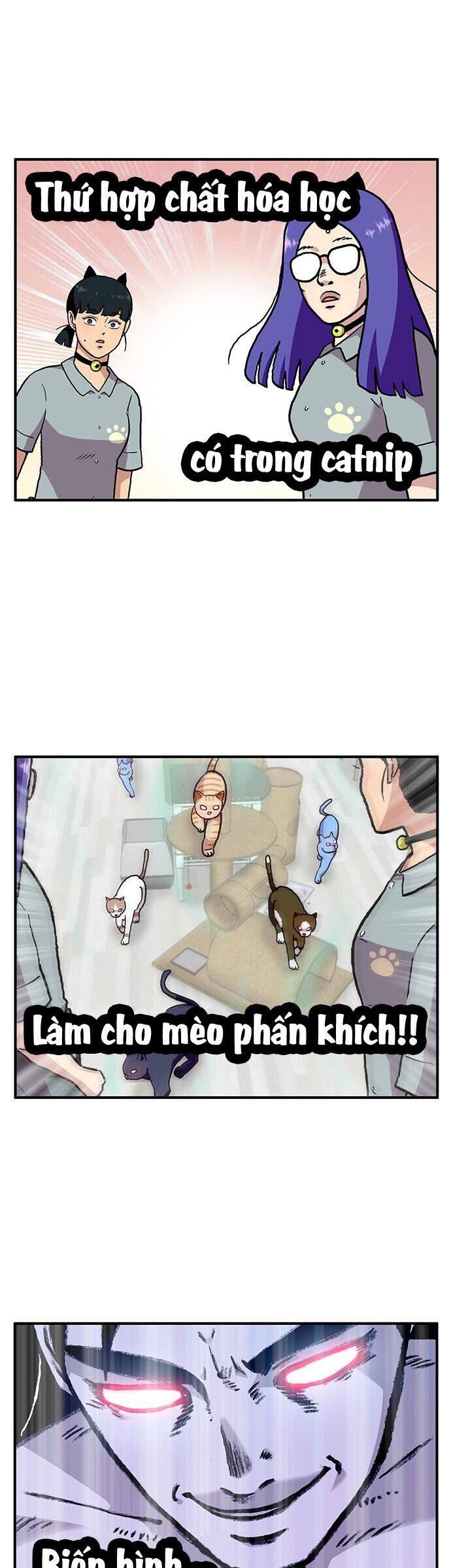 page_13.jpg