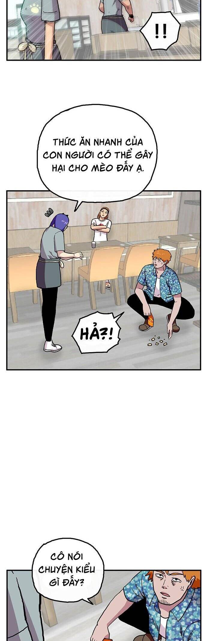 page_27.jpg
