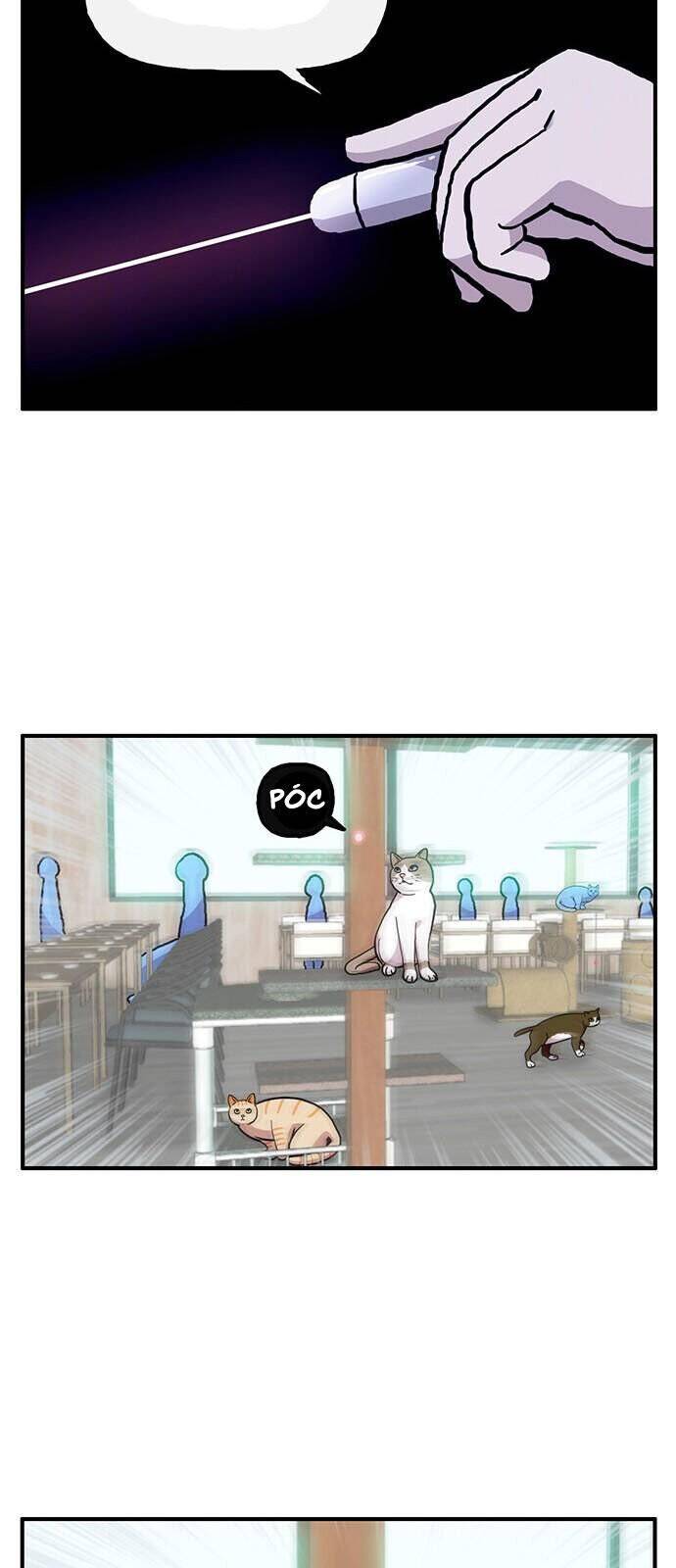 page_30.jpg