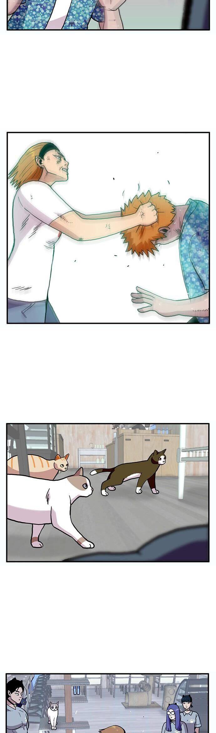 page_38.jpg