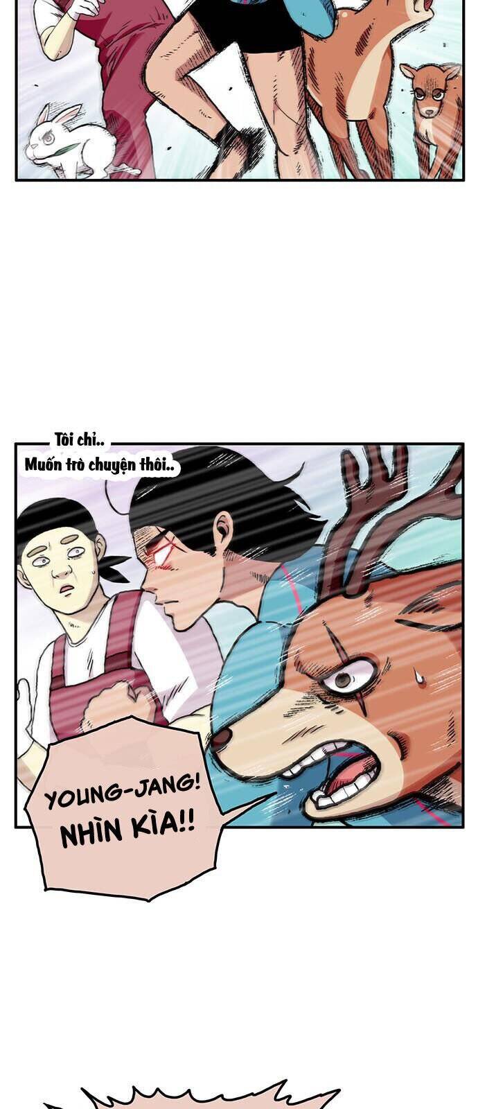 page_21.jpg