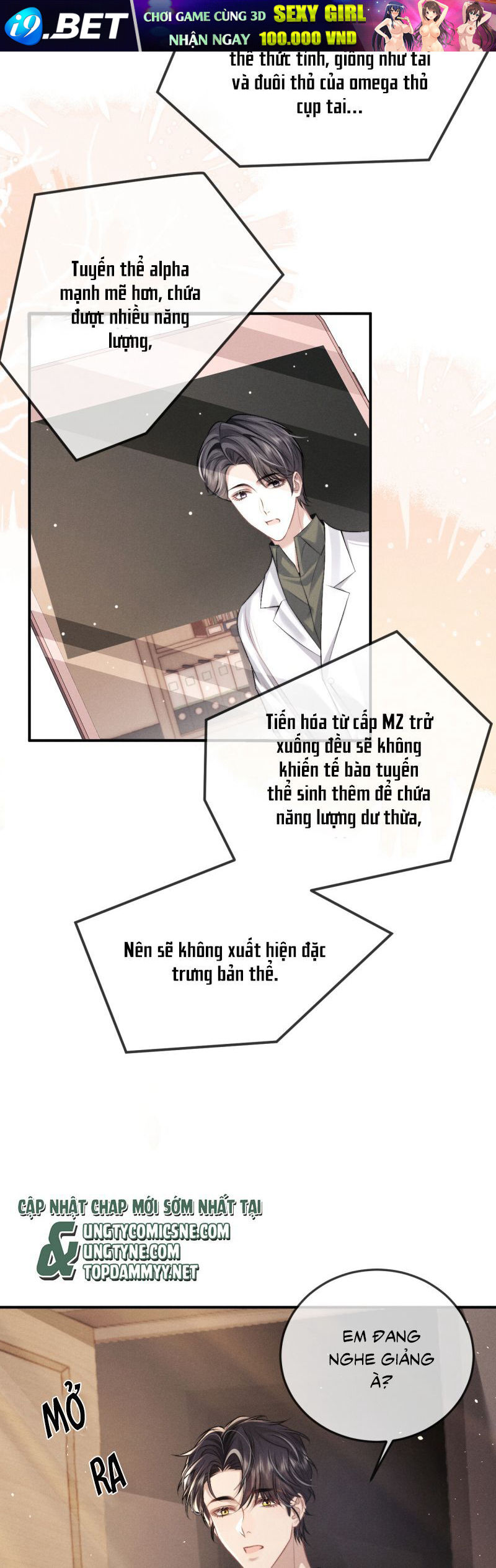 page_21.jpg