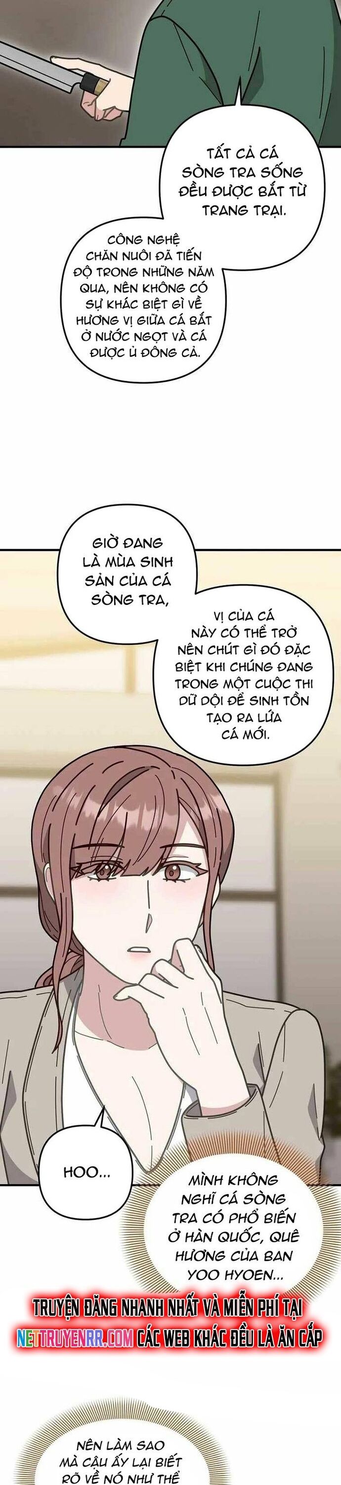 page_21.jpg