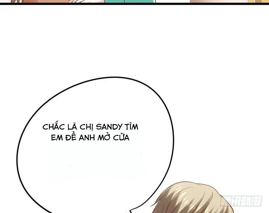 page_19.jpg