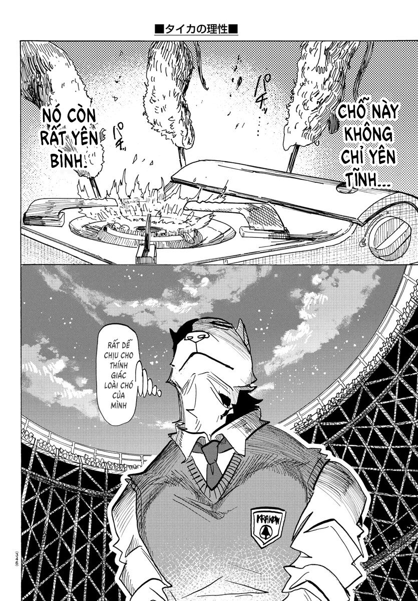 page_11.jpg