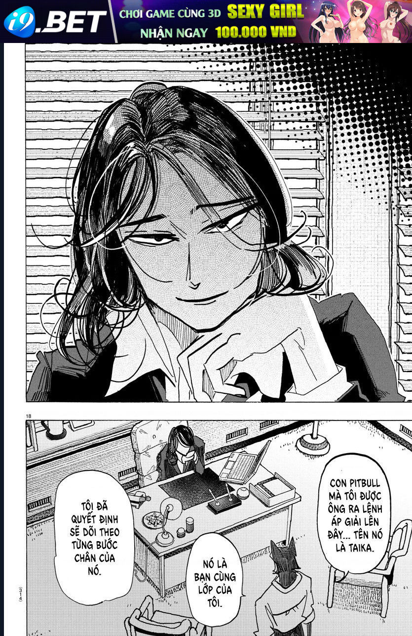 page_17.jpg