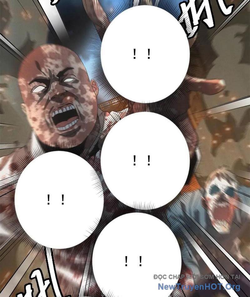 page_17.jpg