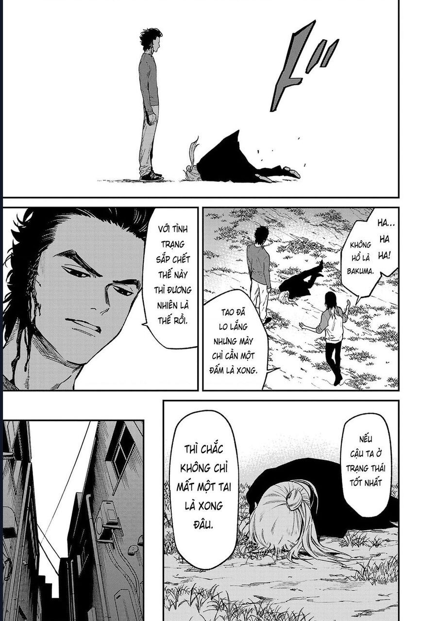 page_21.jpg
